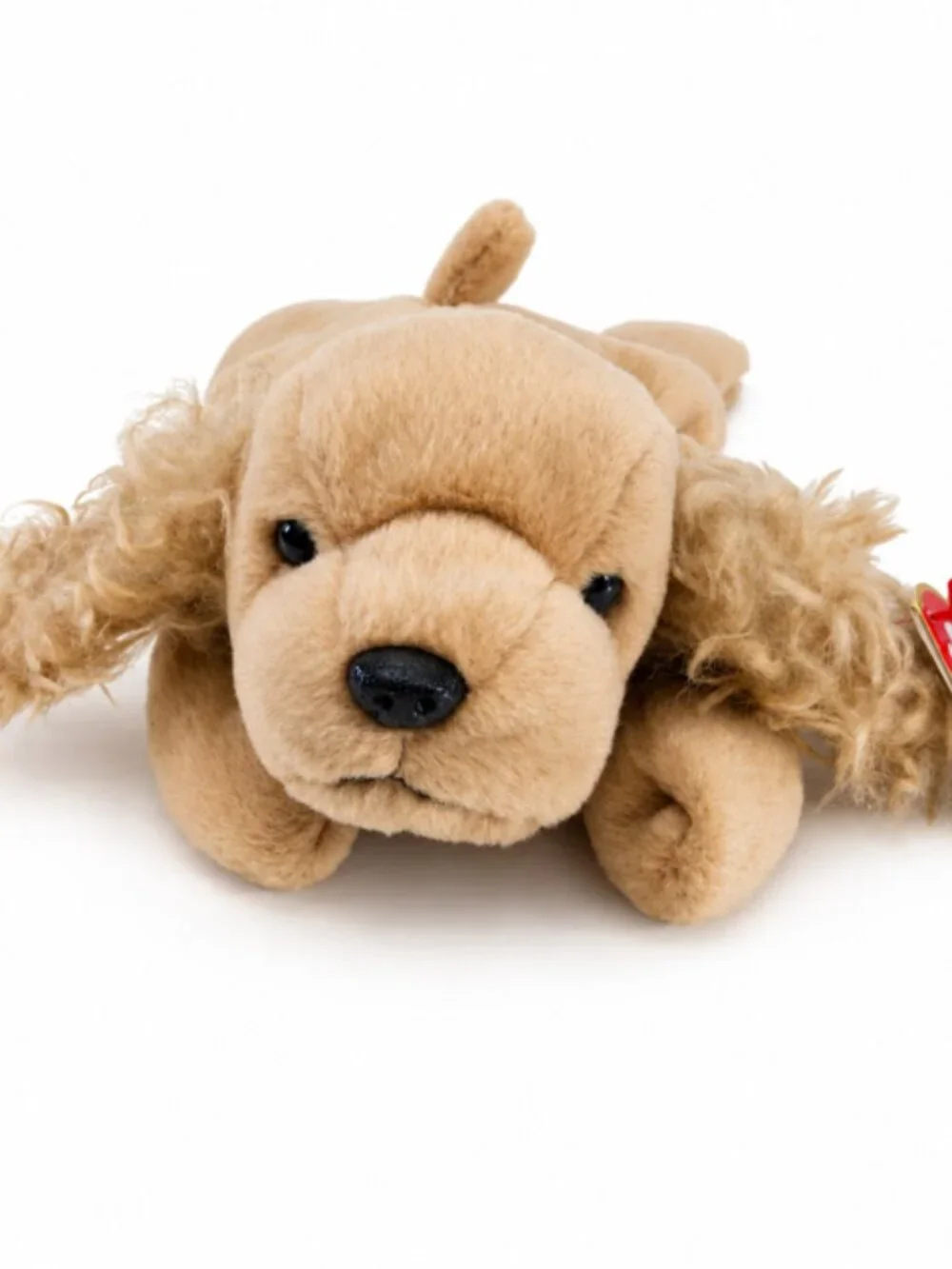 Ty Beanie Baby Spunky Tags Attatched
